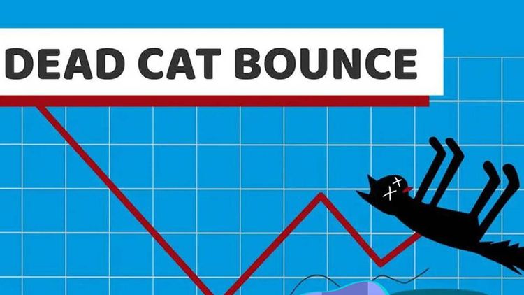 بررسی الگوی جهش گربه مرده (dead cat bounce) در بازارهای مالی!